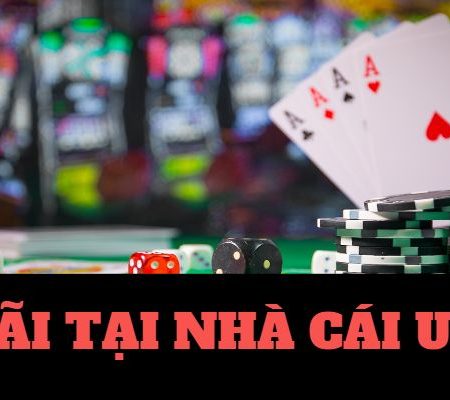 Tuyển Curation Nhà Cái Tặng Tiền Quality