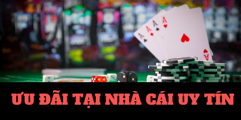 Tuyển Curation Nhà Cái Tặng Tiền Quality